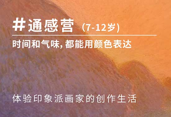 AIP夏令营—通感营