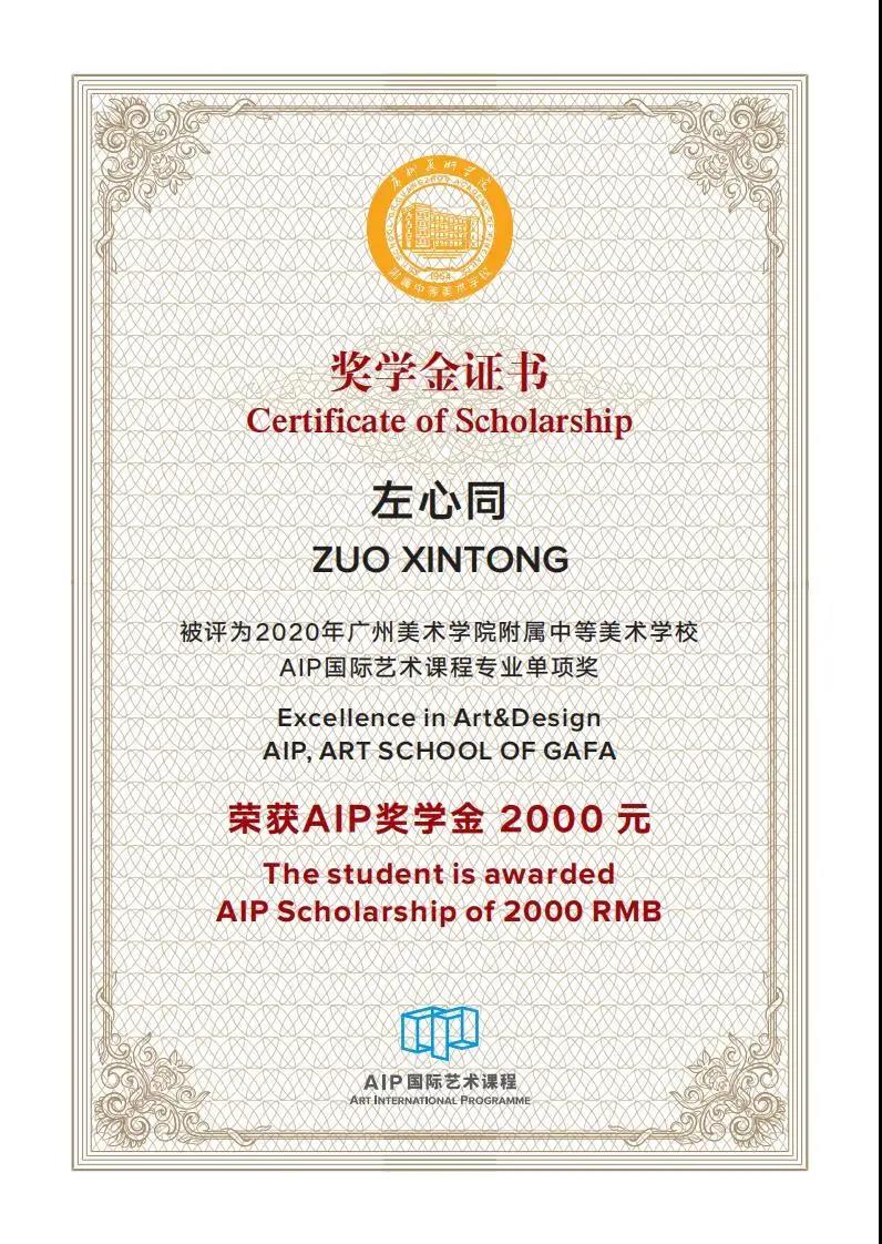 优秀！5位2020届AIP优秀学子获得校内奖学金