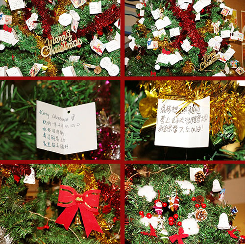 广美附中aip教学楼楼道旁的圣诞树，在平安夜当天已被挂满了方形卡片的心愿卡