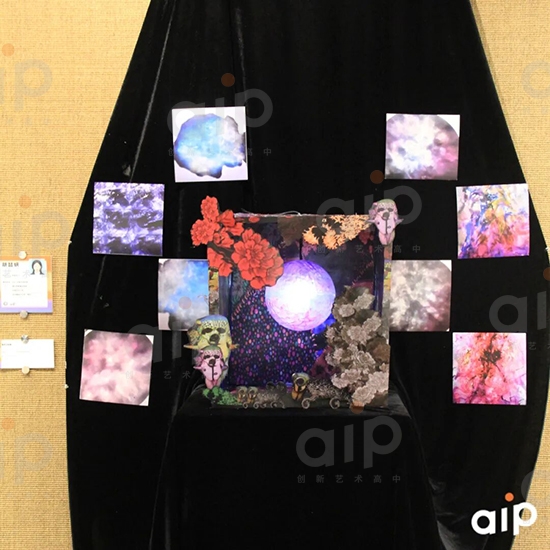 AIP2024届毕业生胡喆妍的个人作品1