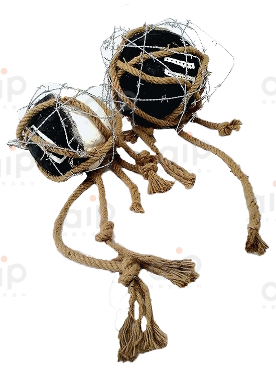 AIP高三毕业生朱笑莹的个人作品集