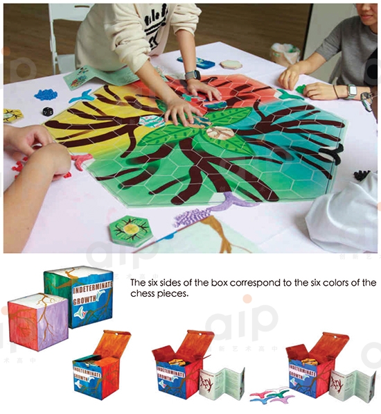 AIP高三毕业生杨玙陈的个人作品集