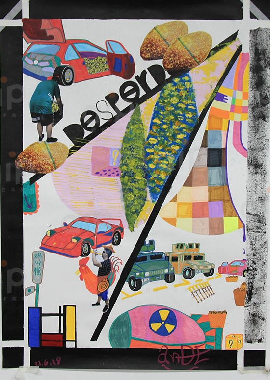 AIP高三毕业生李宝桐的个人作品